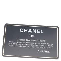 Chanel Multicolor Chevron Lizard Boy Wallet On Chain