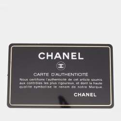 Pre Owned Chanel Multicolor Printed Canvas New York Street Spirit Backpack