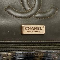 Pre Owned Chanel Tricolor Python Medium Classic Double Flap Bag 
