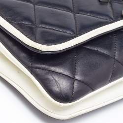 مملوكة مسبقًا Chanel Black Quilted Leather Divine Medium Flap Bag