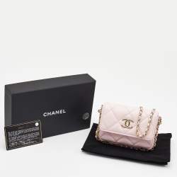 Chanel Light Pink Quilted Leather Mini Chain Around Flap Wallet Bag