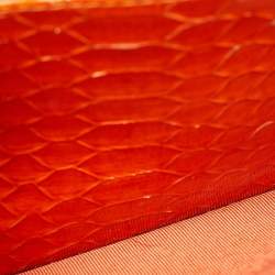 Chanel Orange Python Wallet on Chain