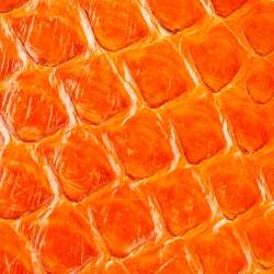 Chanel Orange Python Wallet on Chain