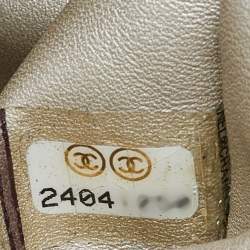 Pre Owned Chanel Metallic Multicolor Python Flap CC Logo Top Handle Bag