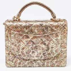 Pre Owned Chanel Metallic Multicolor Python Flap CC Logo Top Handle Bag