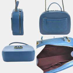 Chanel Blue Calfskin and Quilted Goatskin Small Coco Curve Vanity Case 