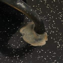 Pre Owned Chanel Two Tone  Jelly Camellia Thong Sandals Size 39