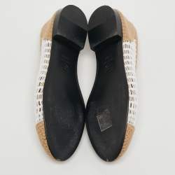 Pre Owned حذاء باليرينا فلات شانيل سي سي مقدمة مدببة رافيا بيج مقاس 38