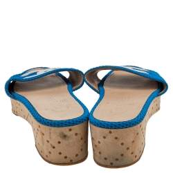 Chanel Blue/White Mesh And Leather CC Logo Platform Slide Wooden Sandals Size 39