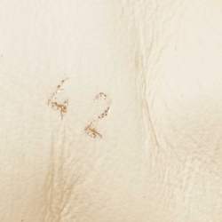 Pre Owned Chanel Cream Leather CC Camelia Low Top Sneakers Size 42