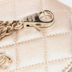 Chanel Metallic Lambskin Round Coin Purse and AirPods Case Bag