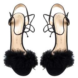 مملوكة مسبقًا Charlotte Olympia Black Suede And Feather Embellished Salsa Sandals Size 40