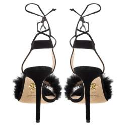 مملوكة مسبقًا Charlotte Olympia Black Suede And Feather Embellished Salsa Sandals Size 40