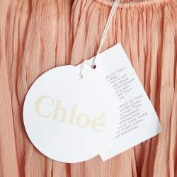 Chloe Pink Silk Chiffon Maxi Skirt S