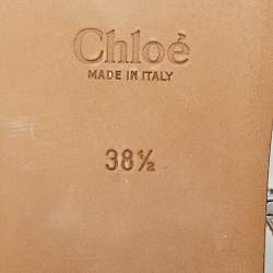 Pre Owned Chloe Multicolor Lizard Embossed and Croc Embossed Leather Ankle Strap Flats Size 38.5