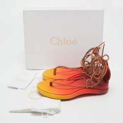 Chloe Multicolor Lizard Embossed Leather Thong Flat Ankle Wrap Sandals Size 36
