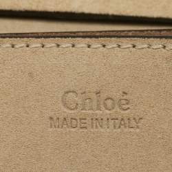 Chloe Multicolor Calf Hair and Leather Small Drew Shoulder Bag
