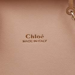 Pre Owned Chloe Beige Acrylic Perspex Kiss Clutch Bag