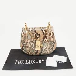 Chloe Multicolor Python Medium Drew Shoulder Bag