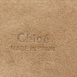 Pre Owned Chloe Brick Leather and Suede Mini Faye Crossbody Bag