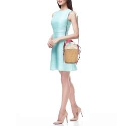 Chloé Beige/Pink Raffia and Canvas Small Woody Basket Bag