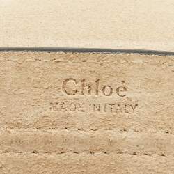 Pre Owned Chloe Beige Leather Mini Hudson Shoulder Bag