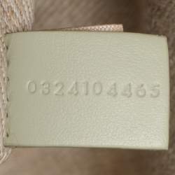 Pre Owned Chloé Beige/Light Eucalyptus Canvas and Leather Medium Woody Tote