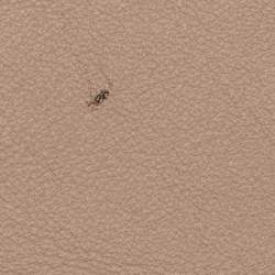 Pre Owned حقيبة كتف كلوي نيل سوار جلد و سويدي بيج صغيرة