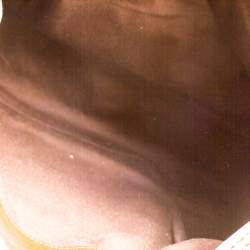 مملوكة مسبقًا Chloe Brown/Off-White Canvas and Leather Edith Shopper Tote