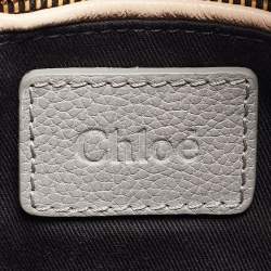Chloe Grey Python and Leather Small Paraty Shoulder Bag
