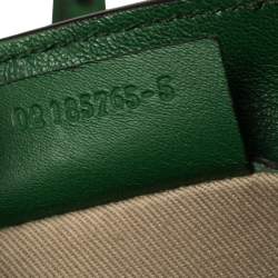 Pre Owned Chloe Green Leather and Suede Mini Faye Daye Backpack