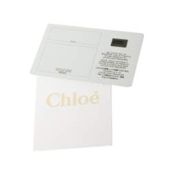 مملوكة مسبقًا حقيبة سادل كلوي درو جلد متعددة الألوان 