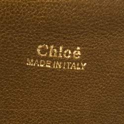 مملوكة مسبقًا حقيبة سادل كلوي درو جلد متعددة الألوان 