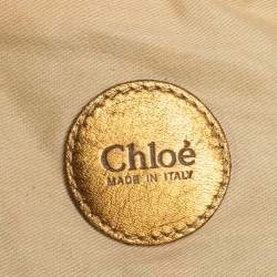 Pre Owned حقيبة هوبو كلوى شينمايل جلد وشبك معدن فضية