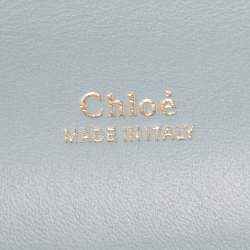 Pre Owned حقيبة كتف كلوي ميني آبي جلد بنقشة التمساح أخضر فاتح