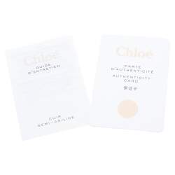 مملوكة مسبقًا Chloé Brown Leather Small Nile Bracelet Minaudiere Crossbody Bag