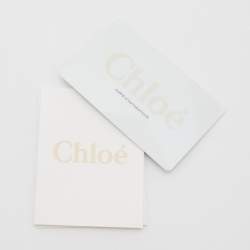 Pre Owned Chloe Mint Green Leather Sally Shoulder Bag