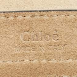 Pre Owned Chloe Black Leather Mini Hudson Shoulder Bag