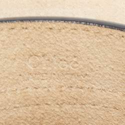 مملوكة مسبقًا حقيبة كتف كلوي ميني هودسون جلد ميستي وردي