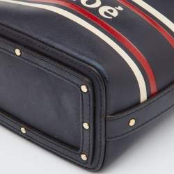 Pre Owned Chloe Tri Color Leather Mini Roy Bucket Bag