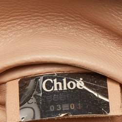 Pre Owned Chloe Teal Python Frame Chain Bag