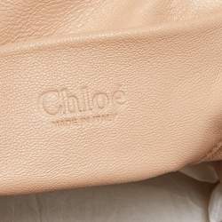 Pre Owned Chloe Teal Python Frame Chain Bag