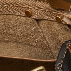 Pre Owned Chloe Brown Leather Nano Hayley Crossbody Bag