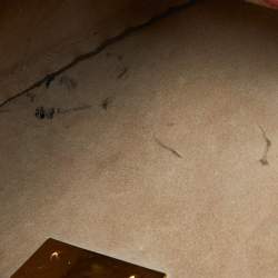 مملوكة مسبقًا Chloe Pink Leather Medium Drew Shoulder Bag