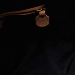 Pre Owned Chloe Beige Python and Leather Medium Paraty Satchel