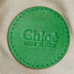 Chloe Green Metal Mesh and Leather Chainmail Hobo