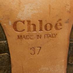 Chloe Green Leather Buckle Detail Mules Size 37