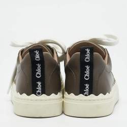 Chloe Brown Lace and Leather Lauren Sneakers Size 39