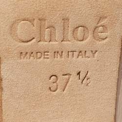 Pre Owned Chloe Brown Leather Lucite and Wood Chunky Heel Platform Pumps 37.5