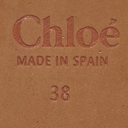 Pre Owned Chloe Beige/Brown Embroidered Canvas Woody Platform Espadrille Sandals Size 38